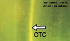 Oxytetracycline mark
